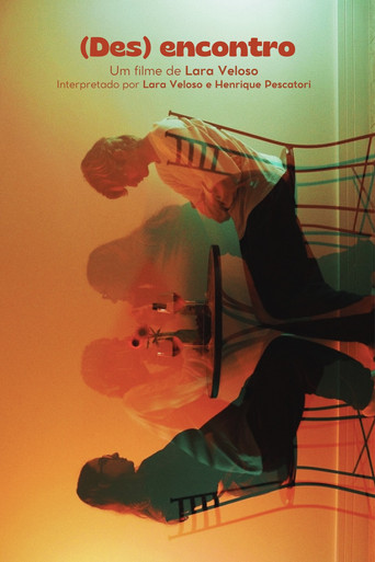 (Des)encontro poster