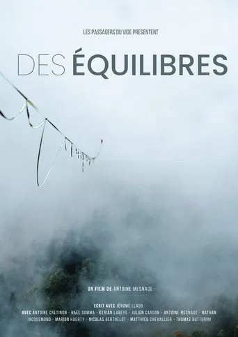 Des équilibres poster