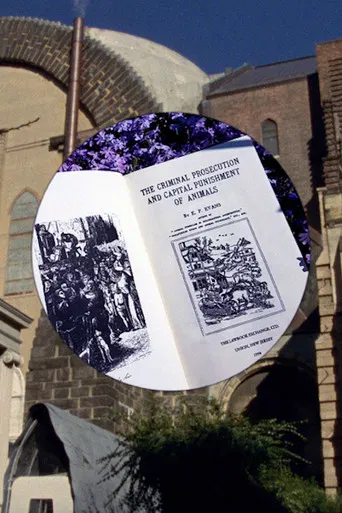 Bugs and Beasts Before the Law poster