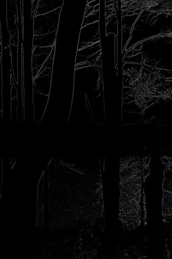 The Heart of the Wood poster