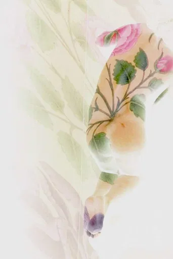 Port Saïd, Santa Cruz, Sarmad Kashani poster