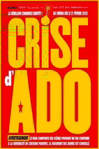 Crise d'ado poster