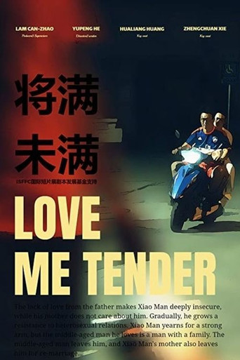 Love Me Tender poster