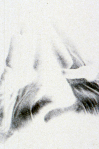 Pitchfork and the Devil poster