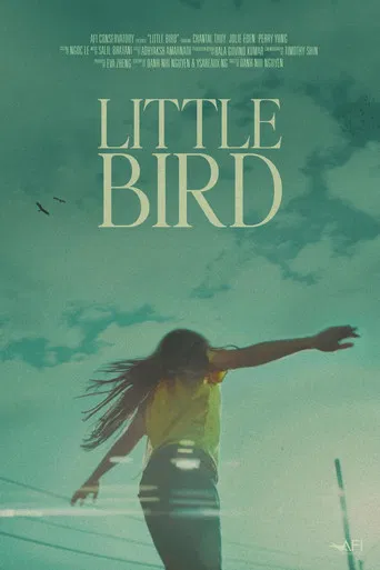 Little Bird poster