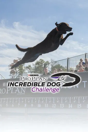 The Incredible Dog Challenge Tour poster