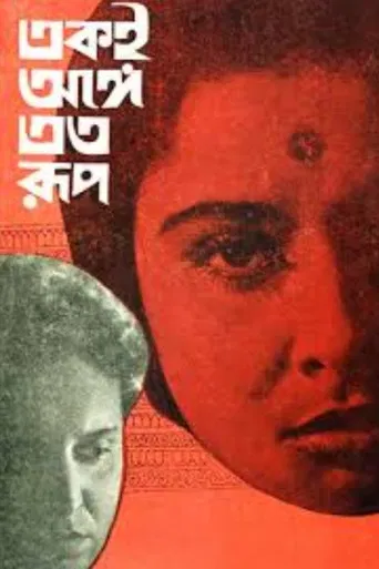 One Person, Many Forms poster