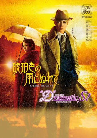 In the Amber-Hued Rain poster