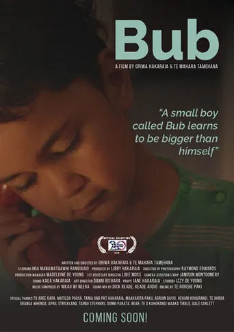 Bub poster