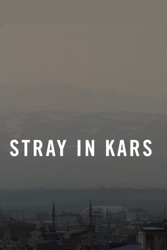 Stray in Kars poster