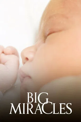 Big Miracles poster