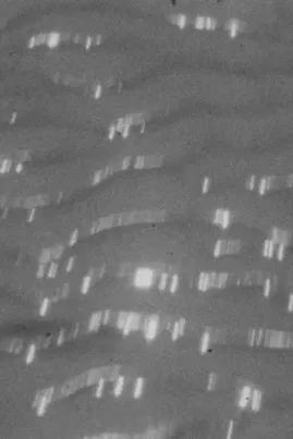 Lands Of The Sea poster