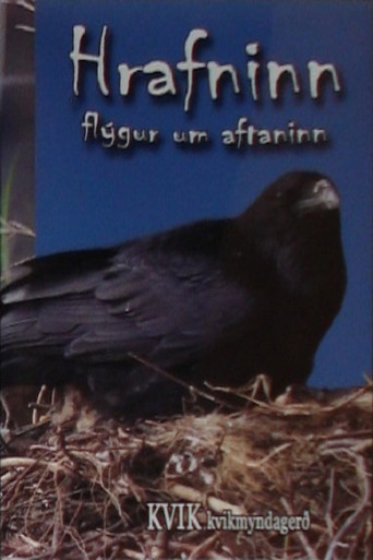 The Bird of Wisdom: The Raven poster