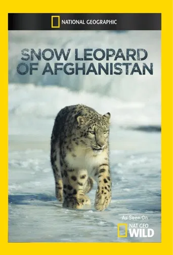 Snow Leopard of Afghanistan poster