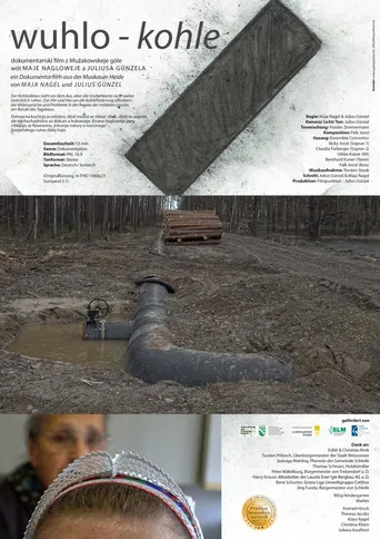 wuhlo – kohle poster