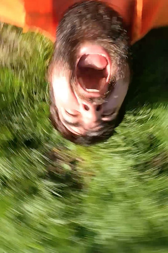 As I Was Moving Ahead Occasionally I Saw Brief Glimpses of Mayhem poster