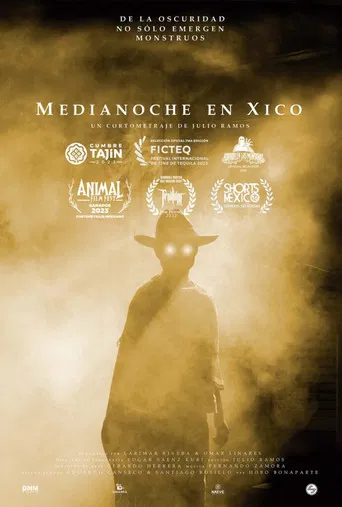 Medianoche en Xico poster