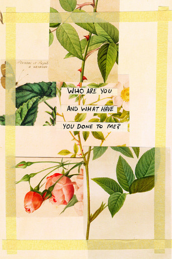 Who Are You and What Have You Done To Me? poster