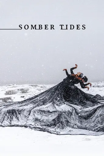 Somber Tides poster