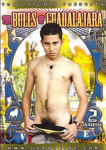 The Bulls of Guadalajara 2 poster