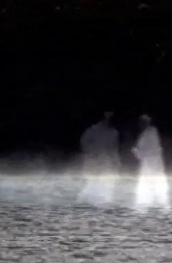 Les Heures d'argent, des illuminations poster