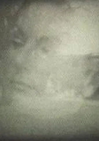 Yo veo conejos poster