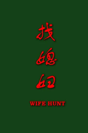 找媳妇 poster