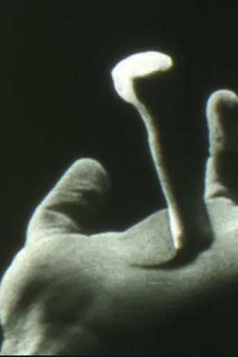 Non Catholicam poster