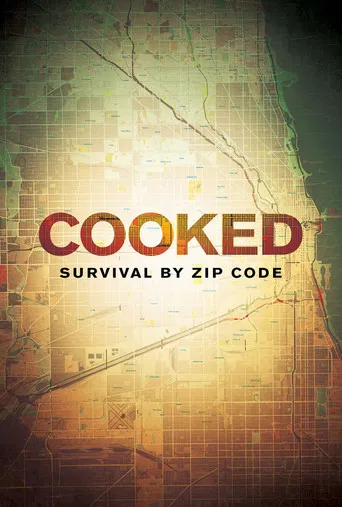 Cooked: Survival by Zip Code poster