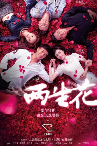 两生花 poster