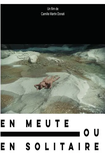 The Wolf's Embrace poster