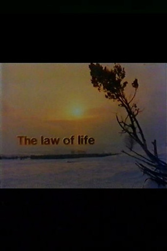 The Law of Life poster