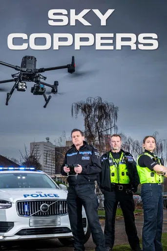 Sky Coppers poster
