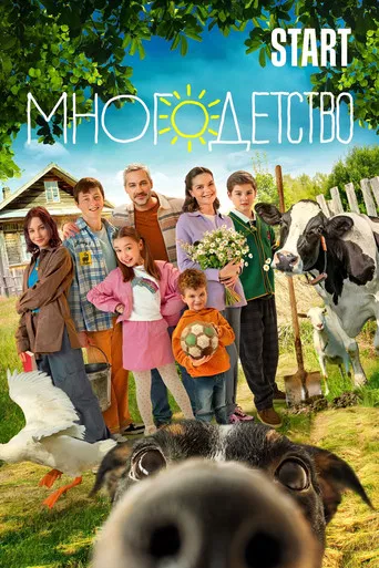 Многодетство poster