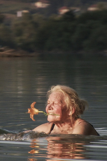 Everything is Possible poster