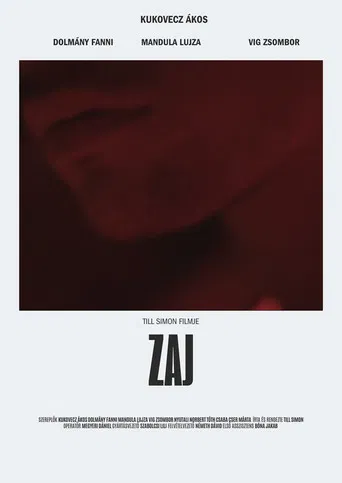 Zaj poster