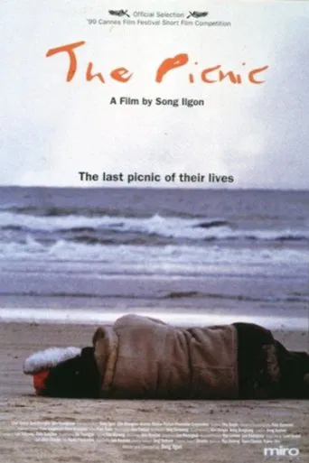 The Picnic poster