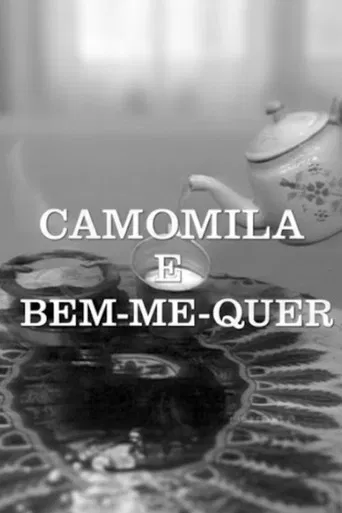 Camomila e Bem-Me-Quer poster