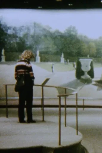 The Odyssey of Panoramas poster