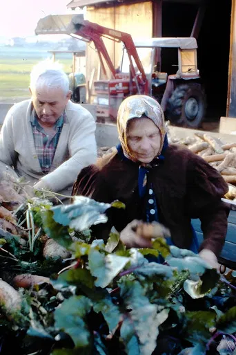Drei Bauern unter einem Hut poster