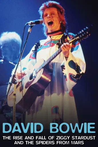 David Bowie: The Rise And Fall of Ziggy Stardust and the Spiders From Mars poster