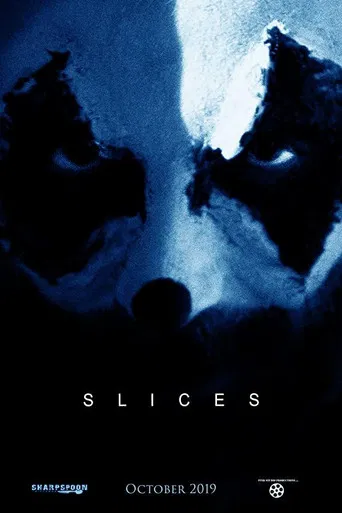 Slices poster
