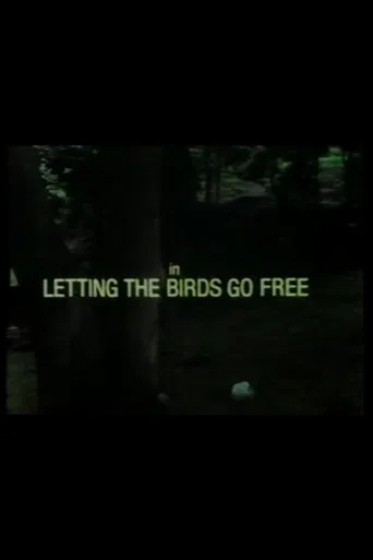 Letting the Birds Go Free poster