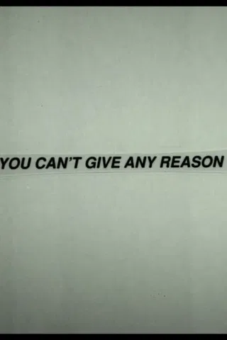 You Can't Give Any Reason poster