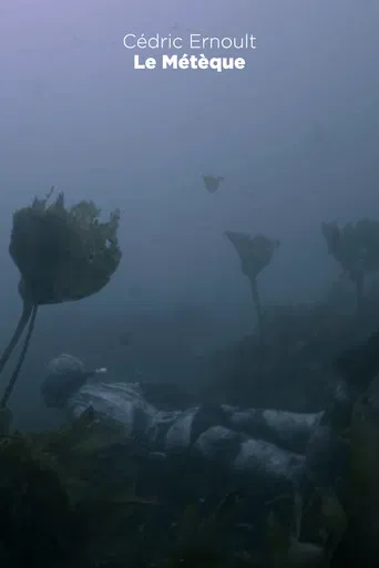 Le Métèque poster