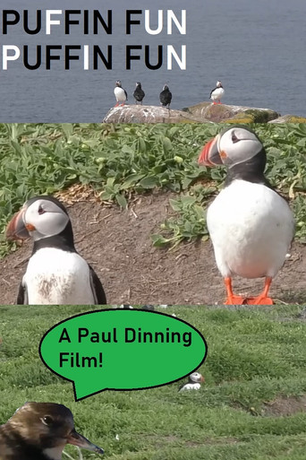 Puffin Fun poster