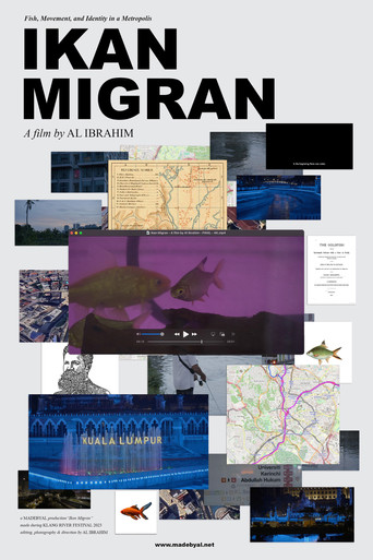 Migrant Fish poster