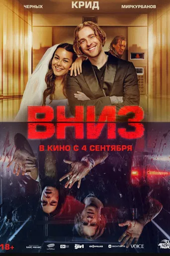 Вниз poster