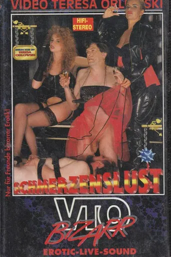 Schmerzenslust poster