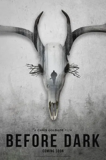 Before Dark poster